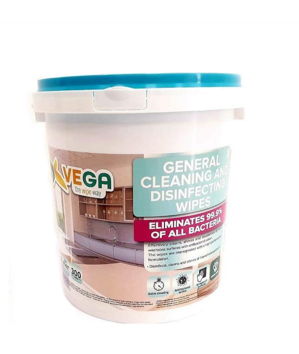bucket of wipes 300 count